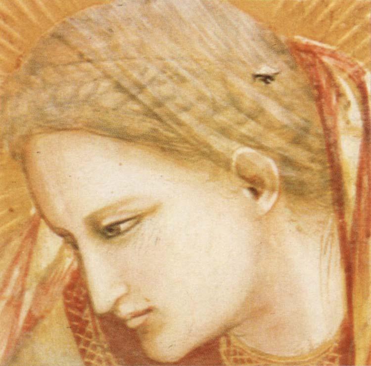 GIOTTO di Bondone Detail of Birth of Christ china oil painting image